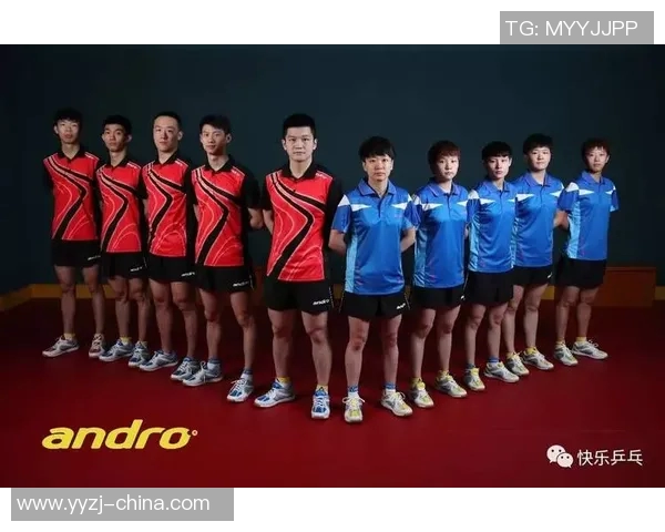 赛后复盘北京乒乓球队与南京乒乓球队实力对比分析