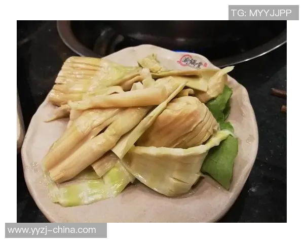 赵芳的篮球人生深度对话：从梦想起步到职业生涯的精彩旅程