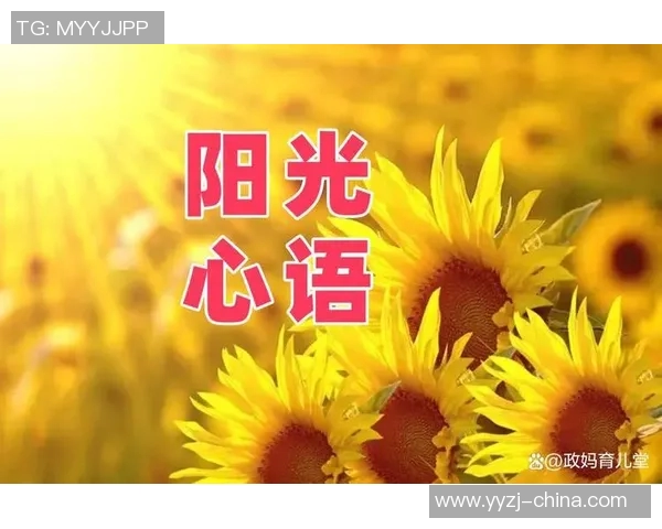 何思雨的成长之路与心灵探索：从校园到职场的蜕变与反思