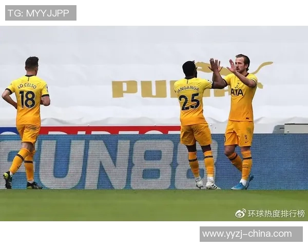 凯恩的传奇之路：从天才少年到足球巨星的奋斗历程与成就解析