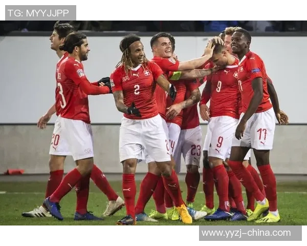 北爱尔兰与瑞士精彩对决视频回顾及赛后分析