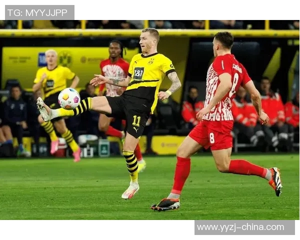 拜仁与多特精彩对决结果揭晓球迷热议赛场表现与未来展望