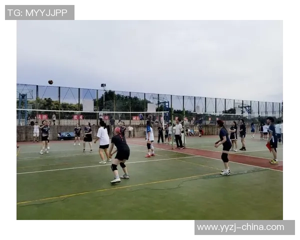 深入分析西安排球队的阵地战战术布局与执行细节